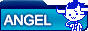 Angel Number 222