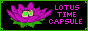 Lotus Time Capsule